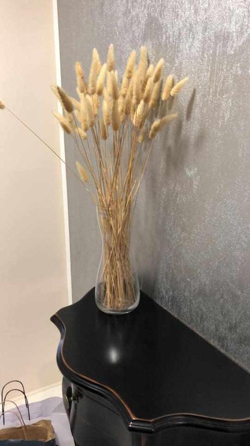 La Casa Di Morazzone Giulia Apartman Pavia Kültér fotó